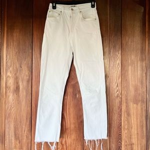 AGOLDE Riley Crop straight leg jeans